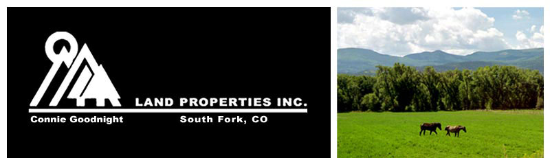 Land Properties Logo, horses in filed